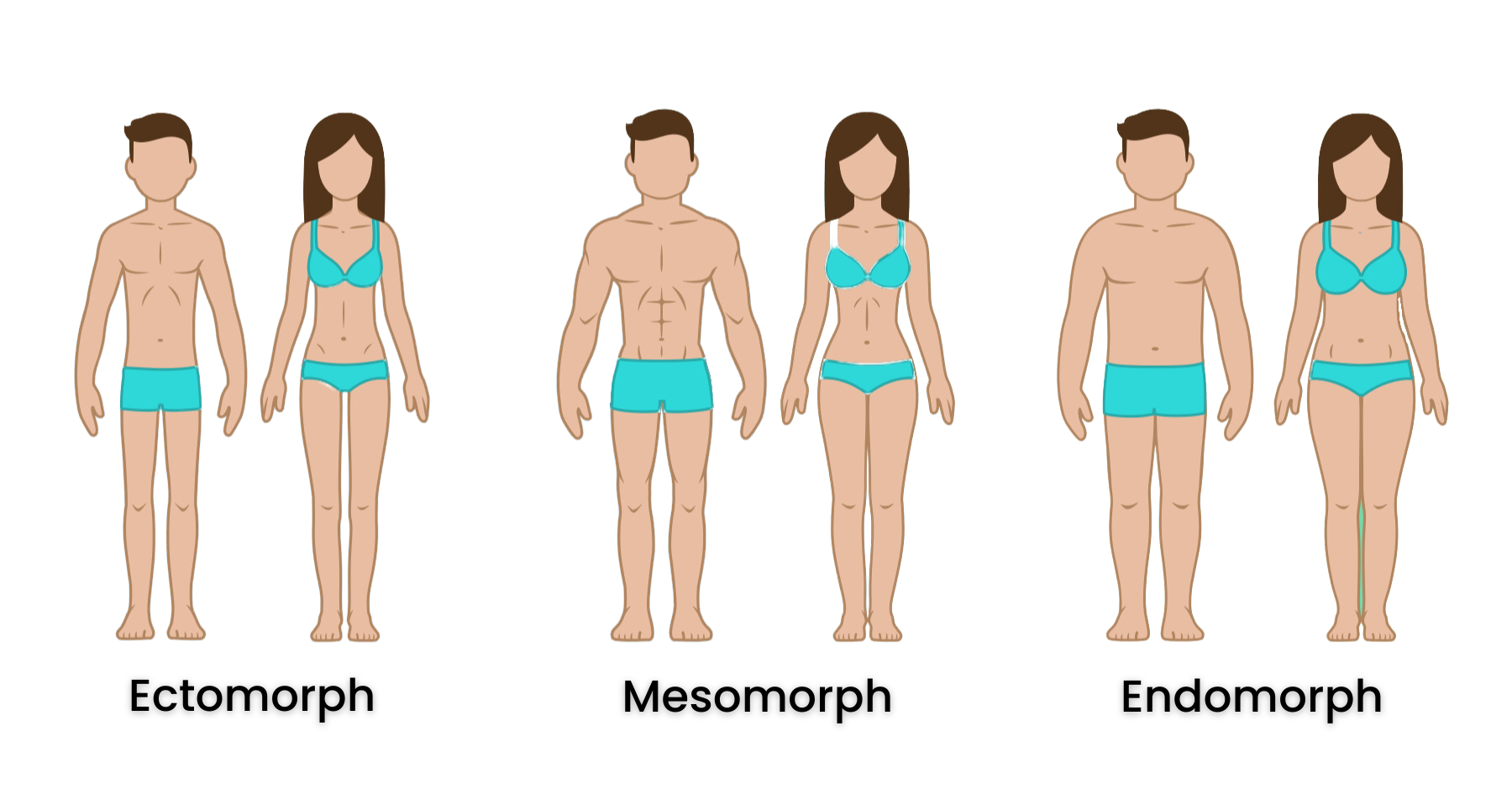 Know Your Body Type (Somatotype) and How to Train for Your Body